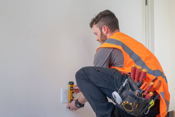 Best Electric Panel Repair  in Las Palmas Ii, TX