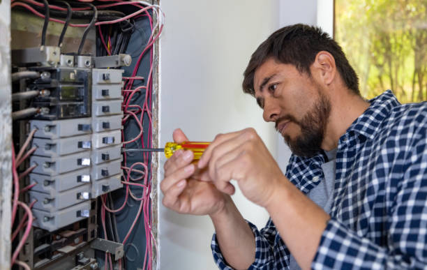 Best Affordable Electrician  in Las Palmas Ii, TX